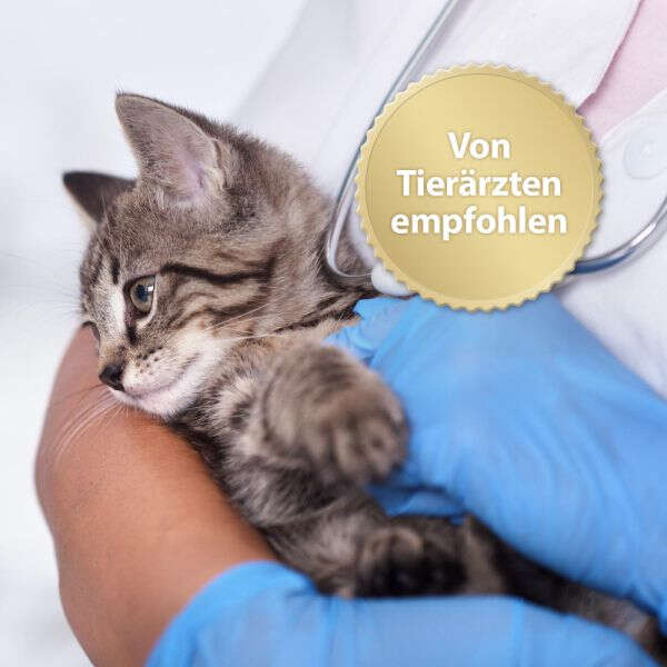 Felisept Home Comfort Beruhigungsspray für Katzen